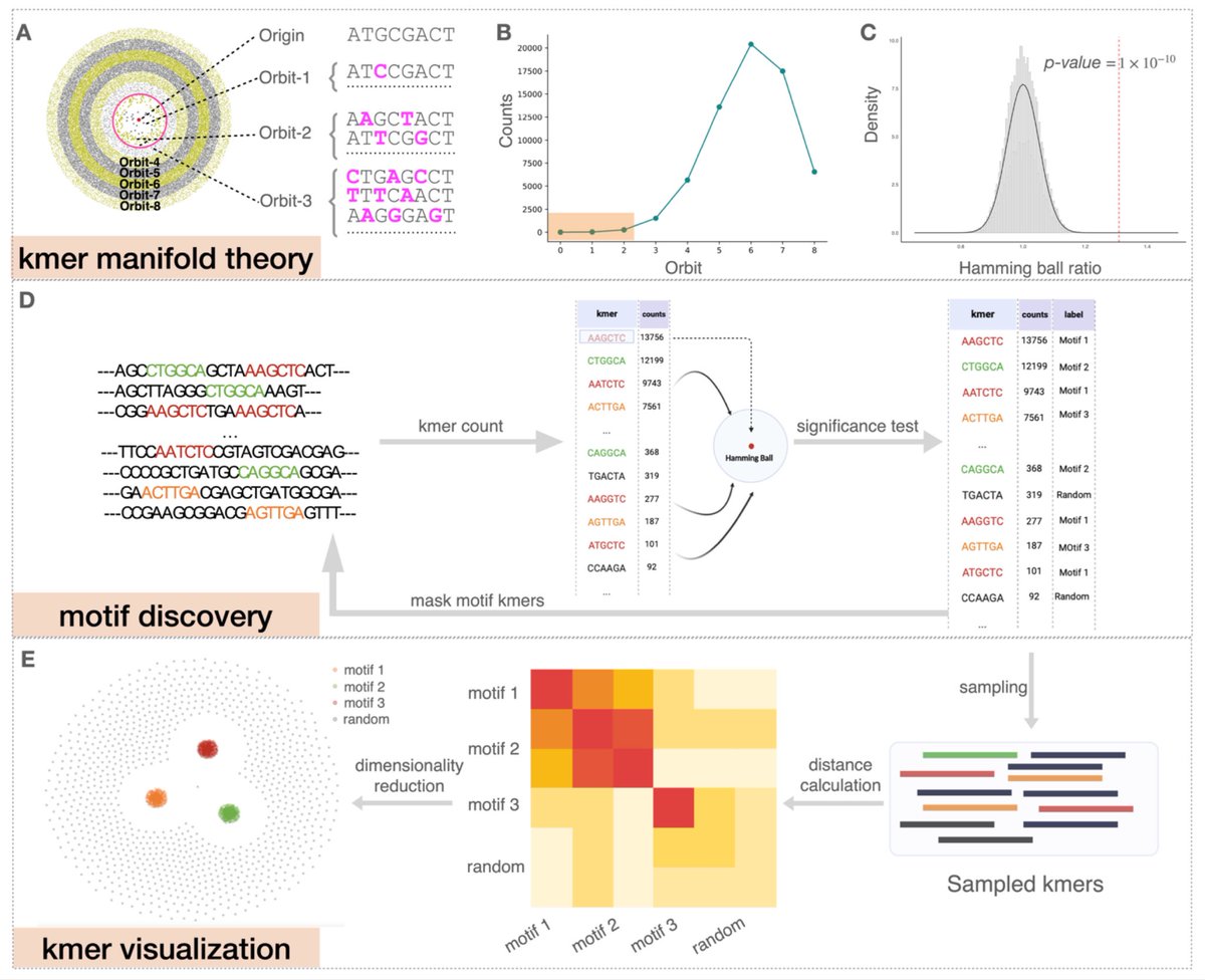 razoralign's tweet photo. KMAP: Kmer Manifold Approximation and Projection for visualizing DNA sequences https://t.co/VxjW60kFkL https://t.co/VY8LiuNfNo