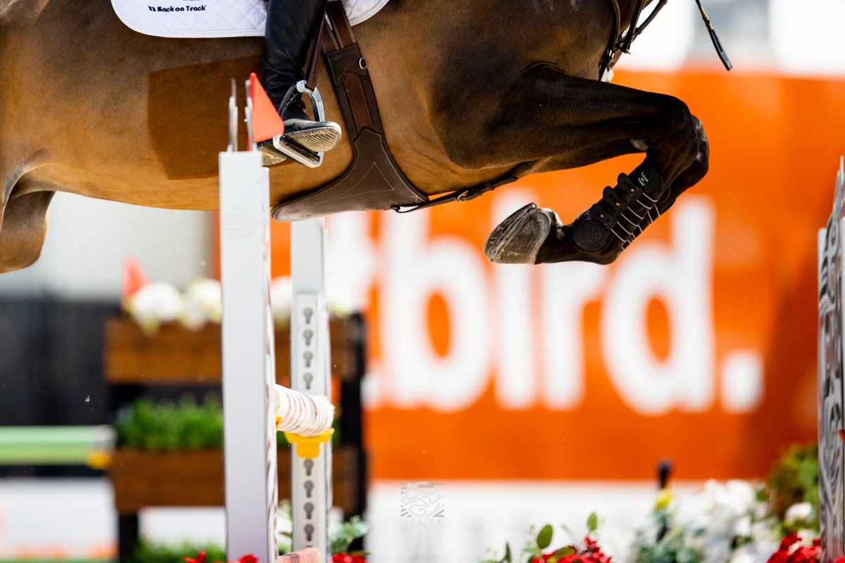 mlsjofficial's tweet image. 30 days to #TBird 👀🌩️🦅

Who&apos;s ready to kick off the season!?

#ThisIsMajorLeague #MLSJVancouver #S4L1 #Showjumping #MLSJ #MajorLeague #EquestrianEvents #Vancouver #Events #Sports #Entertainment #Langley #ThunderbirdShowPark