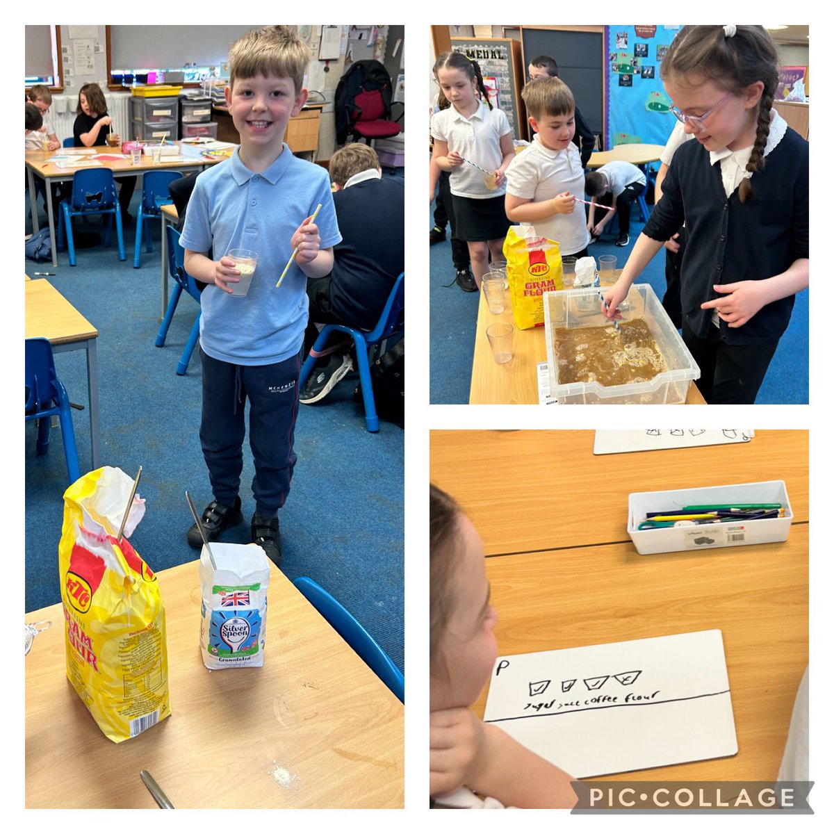 P3/4 undertook a science experiment… predicting what would float and what would not. They then checked their predictions! #science #experiment #predict