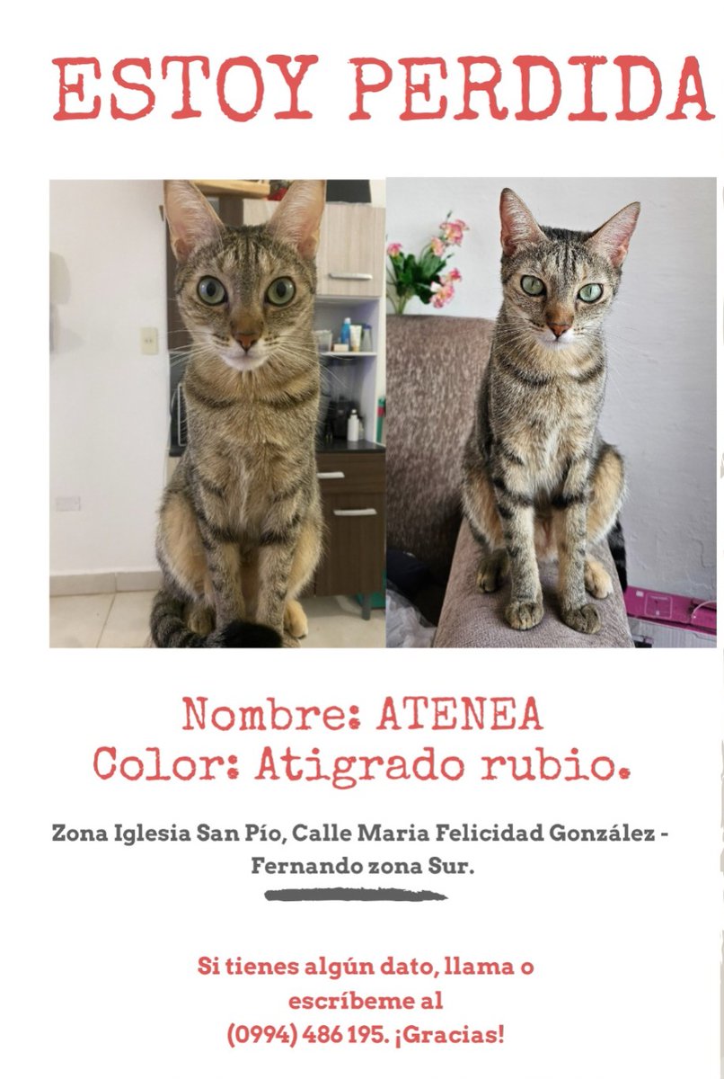 VanesBaez's tweet photo. https://t.co/c0ELDTHL2a