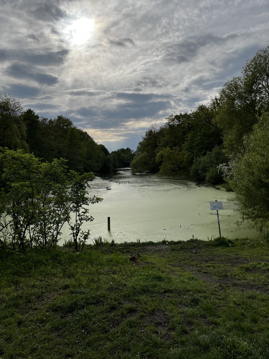 Sources and Shadow Play