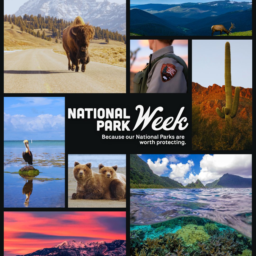 Together with @HouseDemocrats, @POTUS Biden has protected over 26 MILLION acres of public lands. From rugged mountains to spectacular coastlines, I'm working hard to protect our public lands, so that everyone gets to enjoy them. #NationalParkWeek