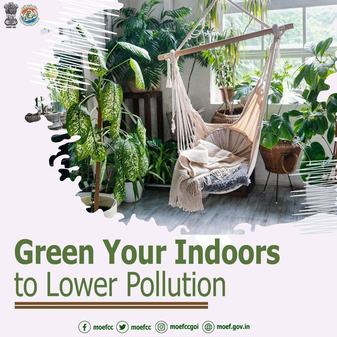 Green your indoors to combat pollution and enhance your living environment. #MissionLiFE #ChooseLiFE @wc_railway @BhopalDivision @drmjabalpur