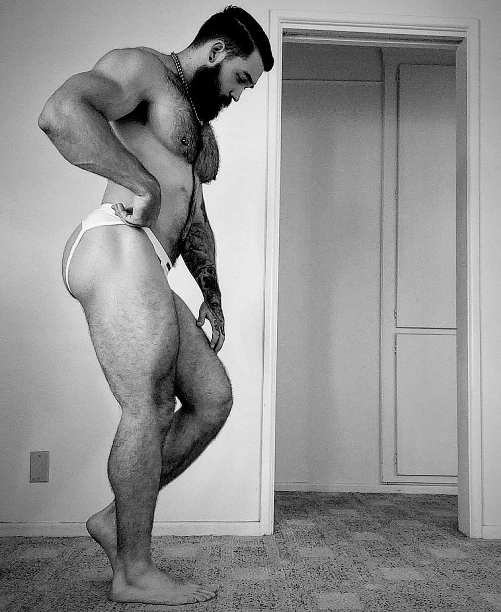 ALAN WOLFE tweet media