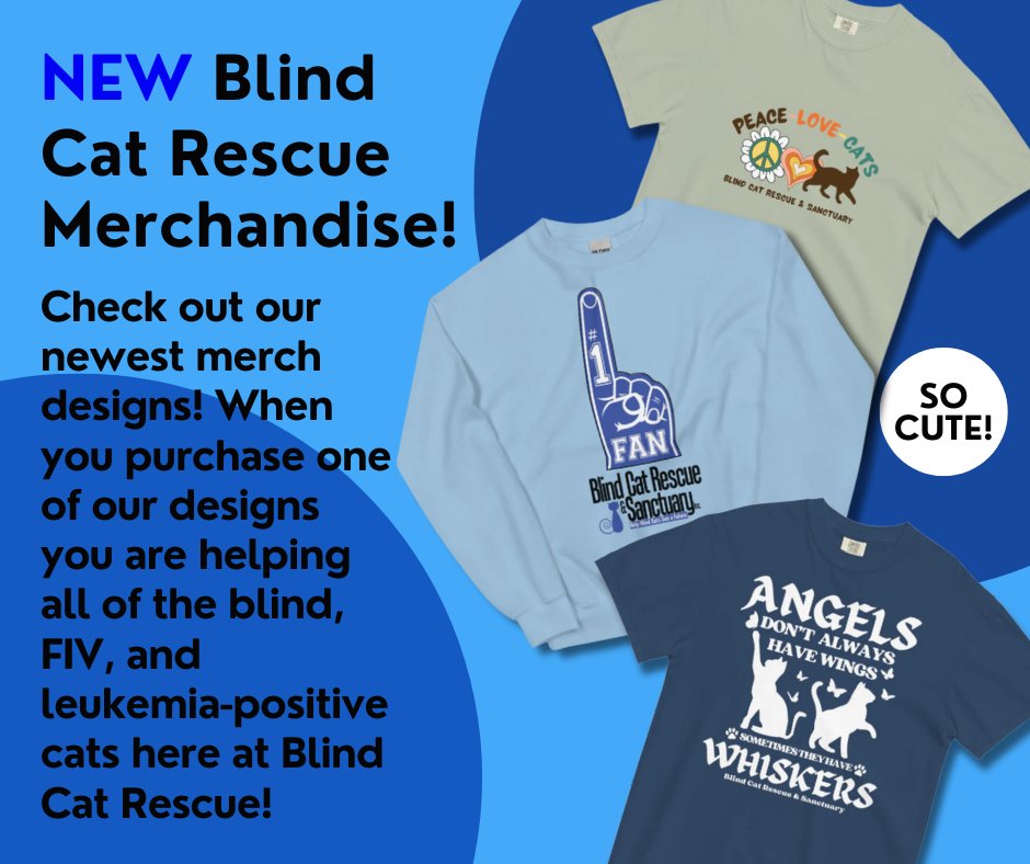 Attention, everyone! Did you know that Blind Cat Rescue has exclusive merchandise available for purchase? Show your support for our cause and rock some stylish gear while doing it! Shop here now: blindcatrescue.myshopify.com