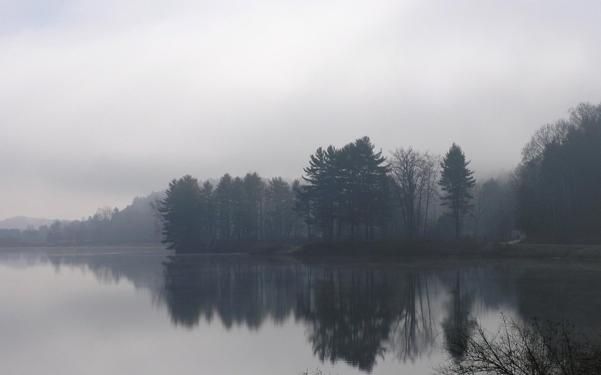 melancholy mists the #mirror... swamping all thoughts of him lost in lake shadows #vss365 #tanka