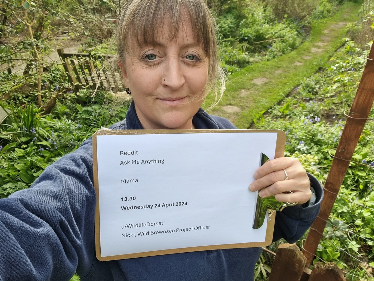 Nicki, a Dorset Wildlife Trust Brownsea Officer, is hosting a Reddit AMA! Join her at 13.30 on Wed 24 April on the r/iama sub-reddit. She'll be answering questions about what it's like to live on the Island, and how the team help engage and educate visitors. 
#BrownseaBigGive