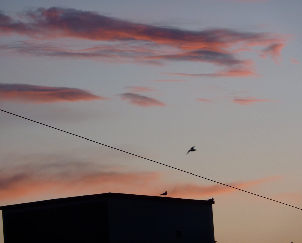 Face à moi - ce soir. #Hyères ©MartineRoffinella