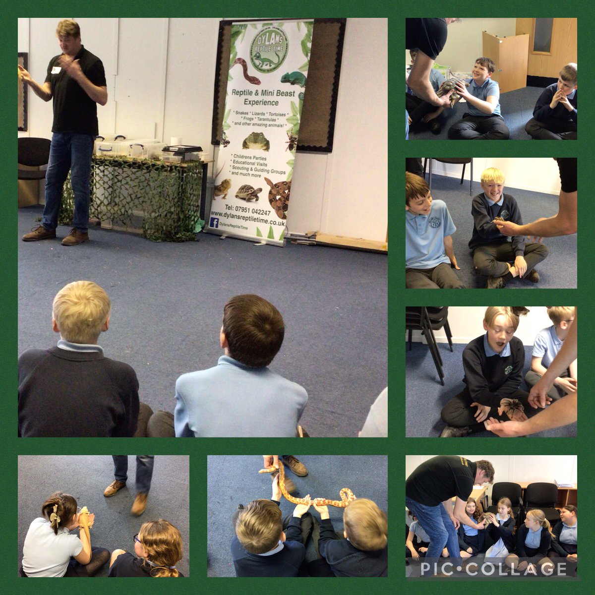 Year6_GV's tweet photo. A huge thank you to Dylan and his reptiles for a brilliant session this afternoon. It was a well earned break away from our books🐍🦎💚 https://t.co/H3qsfj2UJd