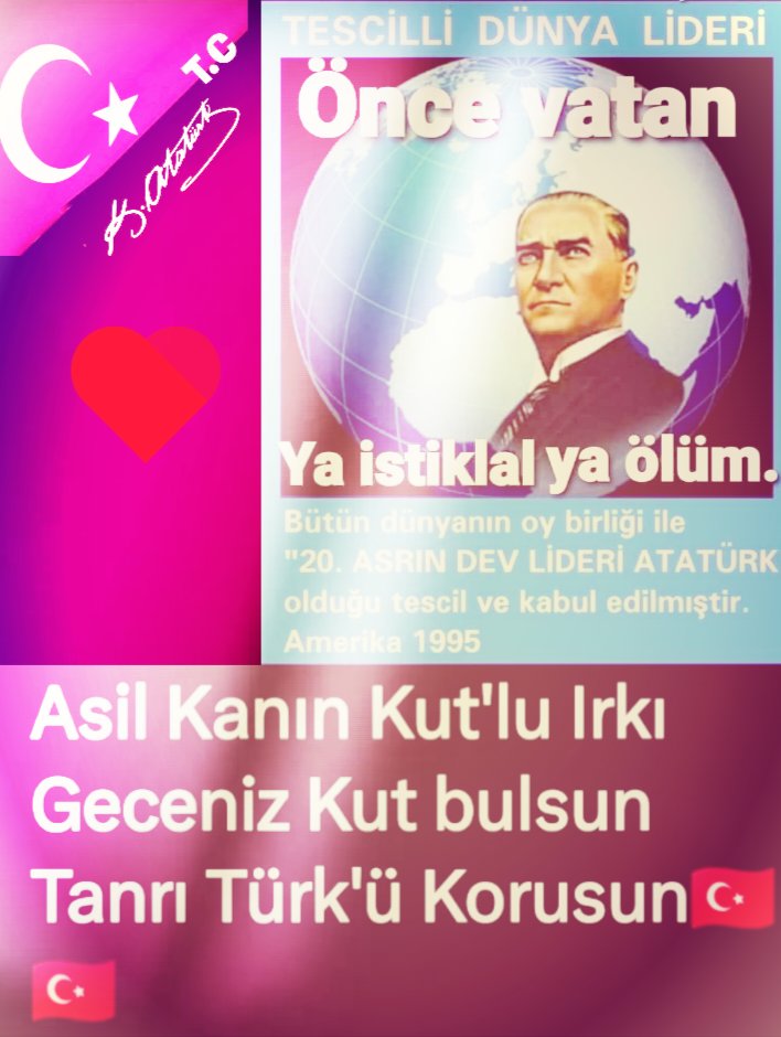 @aynurisikdag