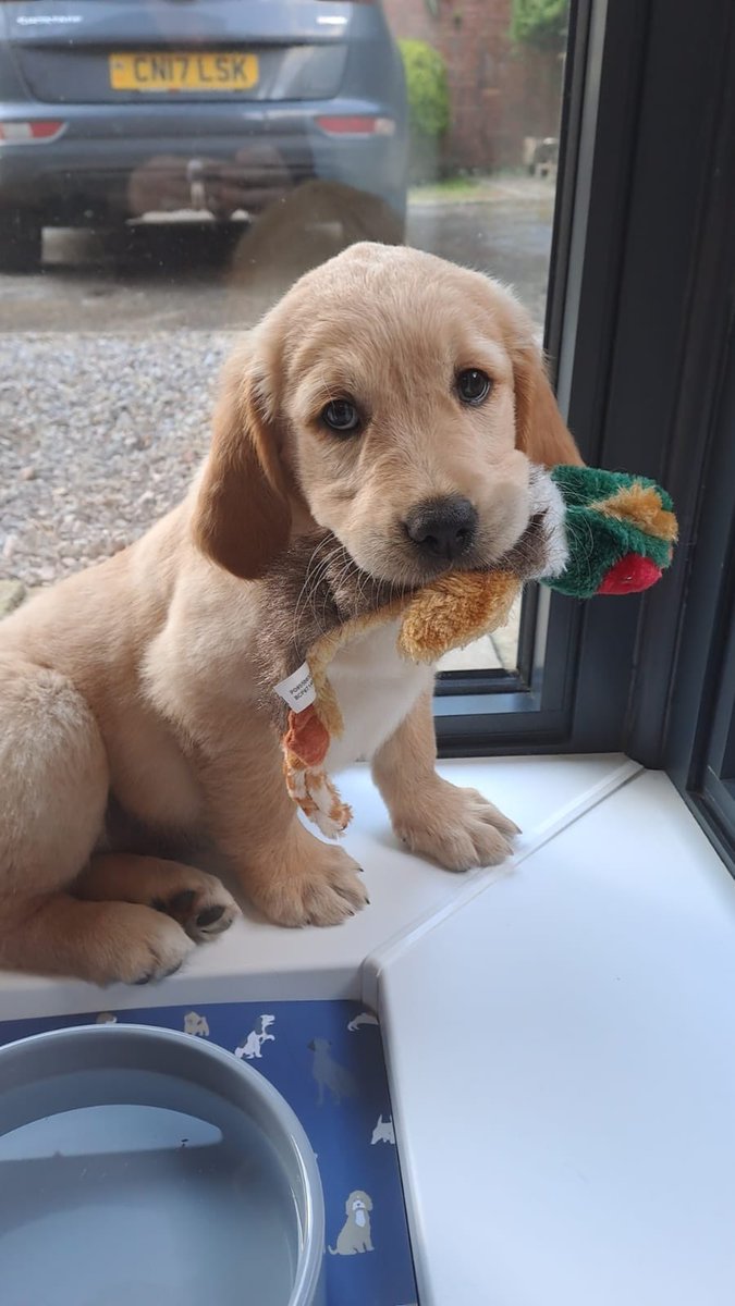 Alan Parker tweet media