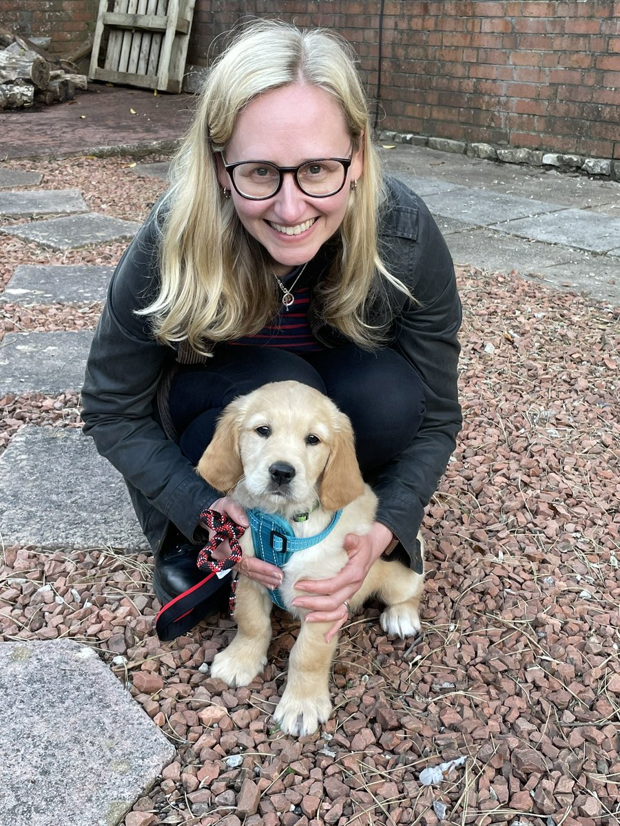 Alan Parker tweet media