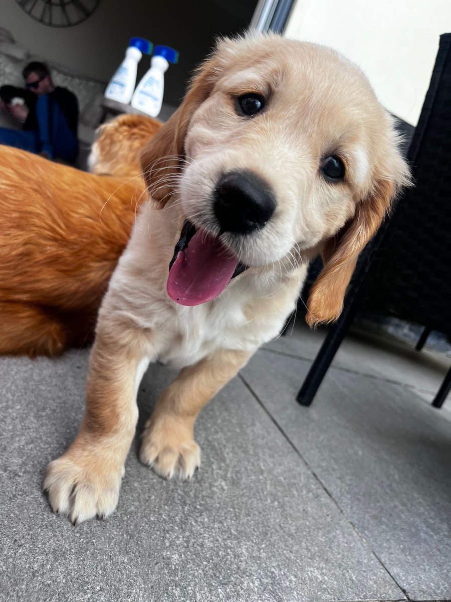 Alan Parker tweet media