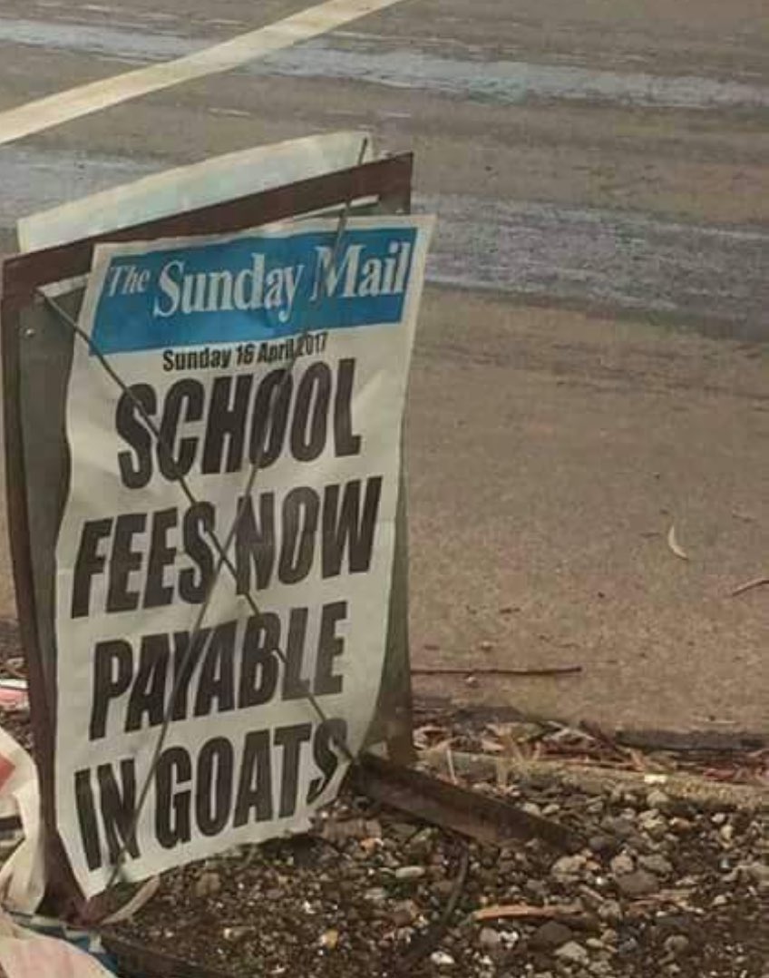 In the decades to come, Zimbabweans will be studied in psychology and sociology, as scholars try to figure out how an entire nation could tolerate such stupidity. The economy collapsed to the point where political elites, who had looted public funds, suggested that school fees