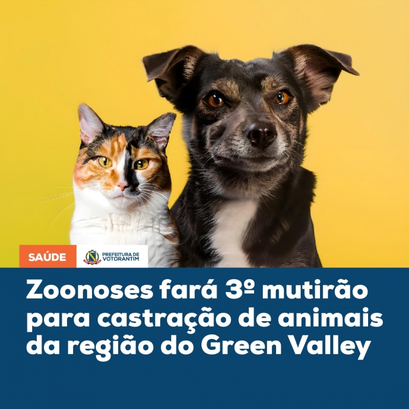 CIDADÃO VOTORANTINENSE SA: Zoonoses fará 3ª mutirão para castração de animais... cidadaovotorantinensesa.blogspot.com/2024/04/zoonos…