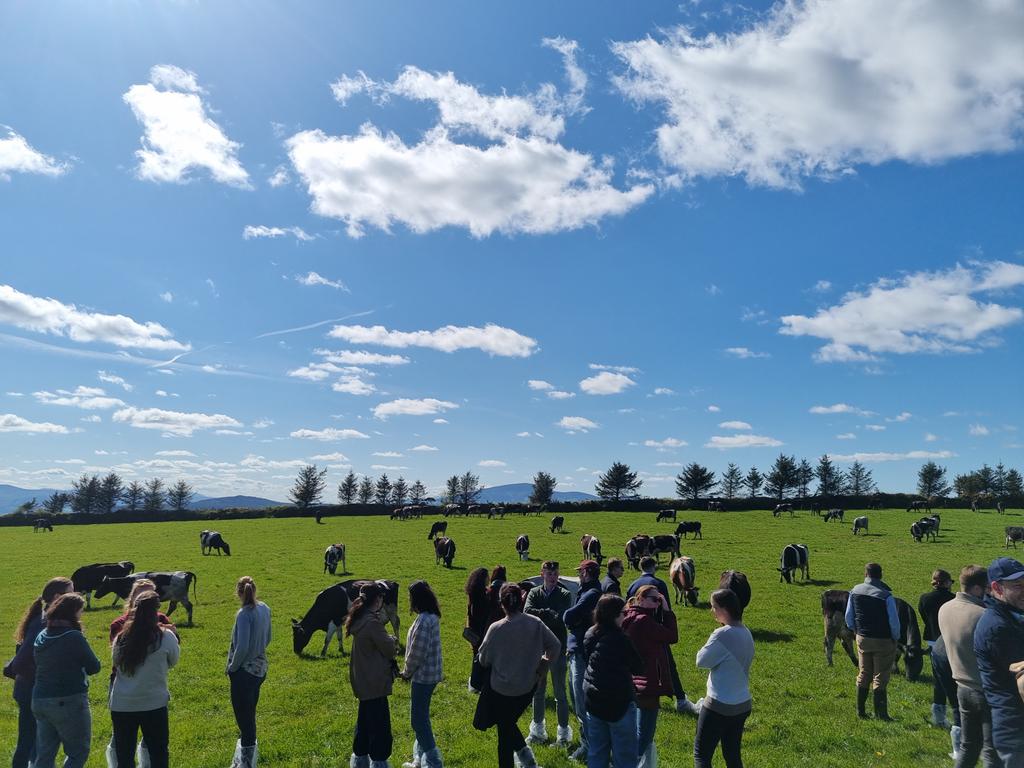 A group of international visitors to the farm this afternoon to discuss sustainable dairy farming. The star of the show was the weather. @tirlan_