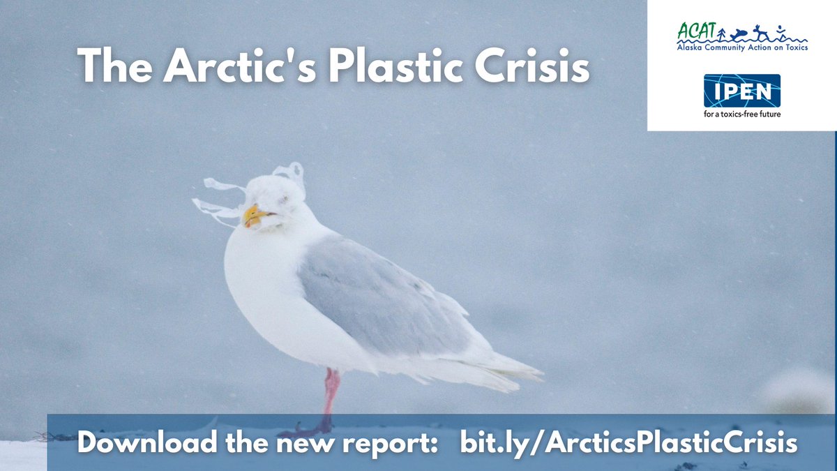 This week the Plastics Treaty talks resume in Ottawa, and IPEN and ACAT will join Indigenous Arctic leaders in calling for a strong, health-protective agreement. See our report on the plastic industry’s threat to the Arctic: bit.ly/ArcticsPlastic…