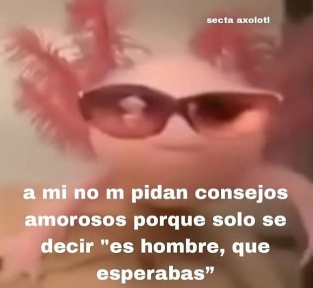 paulisssss :) (@paulamonterooo) on Twitter photo 