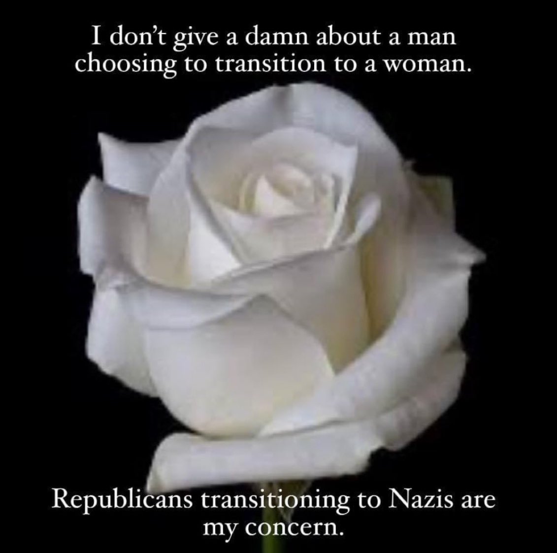 ettingermentum tweet media