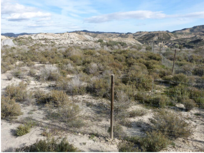 Congrats Alain Danet (not in the twittosphere) for leading a new paper in Oikos! 🥳🥳 A stunning experiment to show how nurse shrubs alter interactions between smaller plants below their canopy, and what role this may play in our warming climate dx.doi.org/10.1111/oik.10…