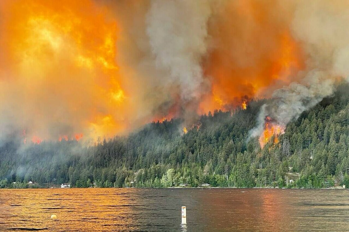 Wildfire under control west of Okanagan Lake, near Vernon
A wildfire has ignited on the west side of Okanagan Lake, west of Vernon, BC Wildfire Service reports. The wildfire was discovered at 6 p.m...
zurl.co/70wM
#silverstartreesbc
#vernontreesbc