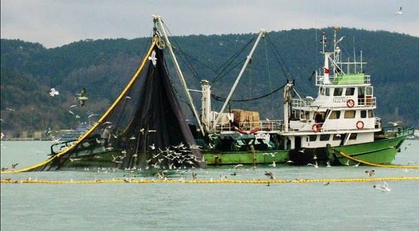 Yunanistan, 2030 yılına kadar dip trolü avcılığını yasaklıyor. Dip trolünü Avrupa’da yasaklayan ilk ülke oldu ve bu karar Akdeniz için çok önemli. Denizci ülkeler Yunanistan gibi olur. Umarım 3 tarafı denizlerle çevrili ülkemiz için örnek olur.