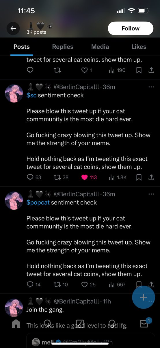 Cpt.leverage tweet media