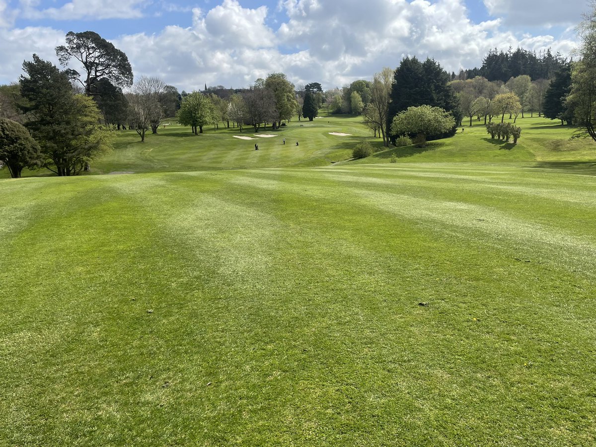 aaron small tweet media