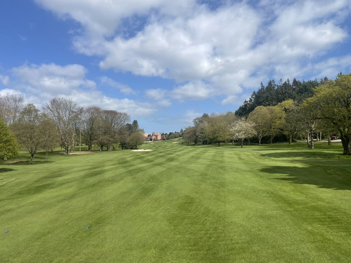 aaron small tweet media