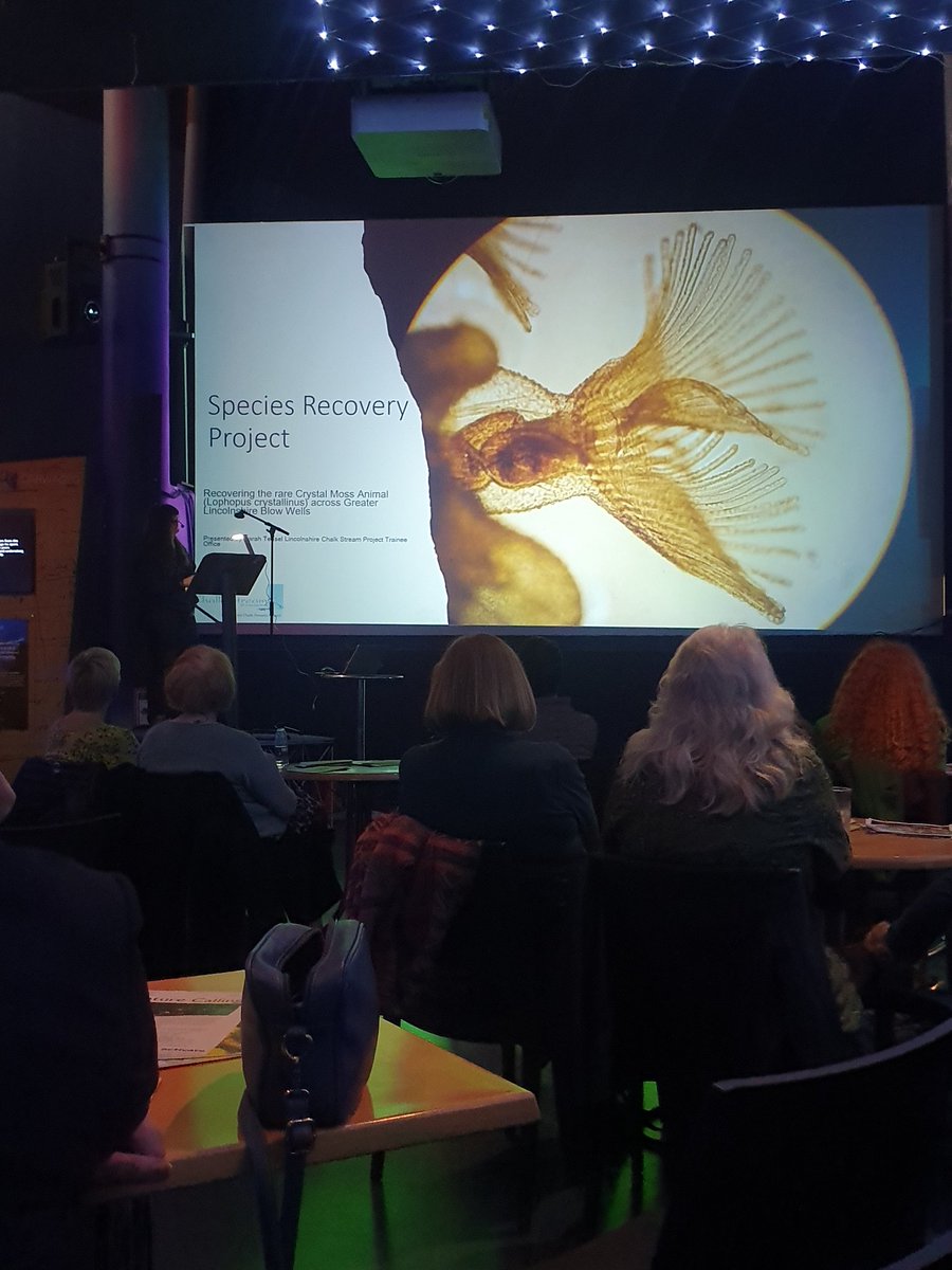 Next up, Sarah from the Lincolnshire Chalk Streams Project to talk about the species recovery project of Crystal Moss Animal species! #DiveDeeper #NaturalEngland #UniversityOfNottingham #TheDeepHull #Partnership #SpeciesRecovery #Conservation