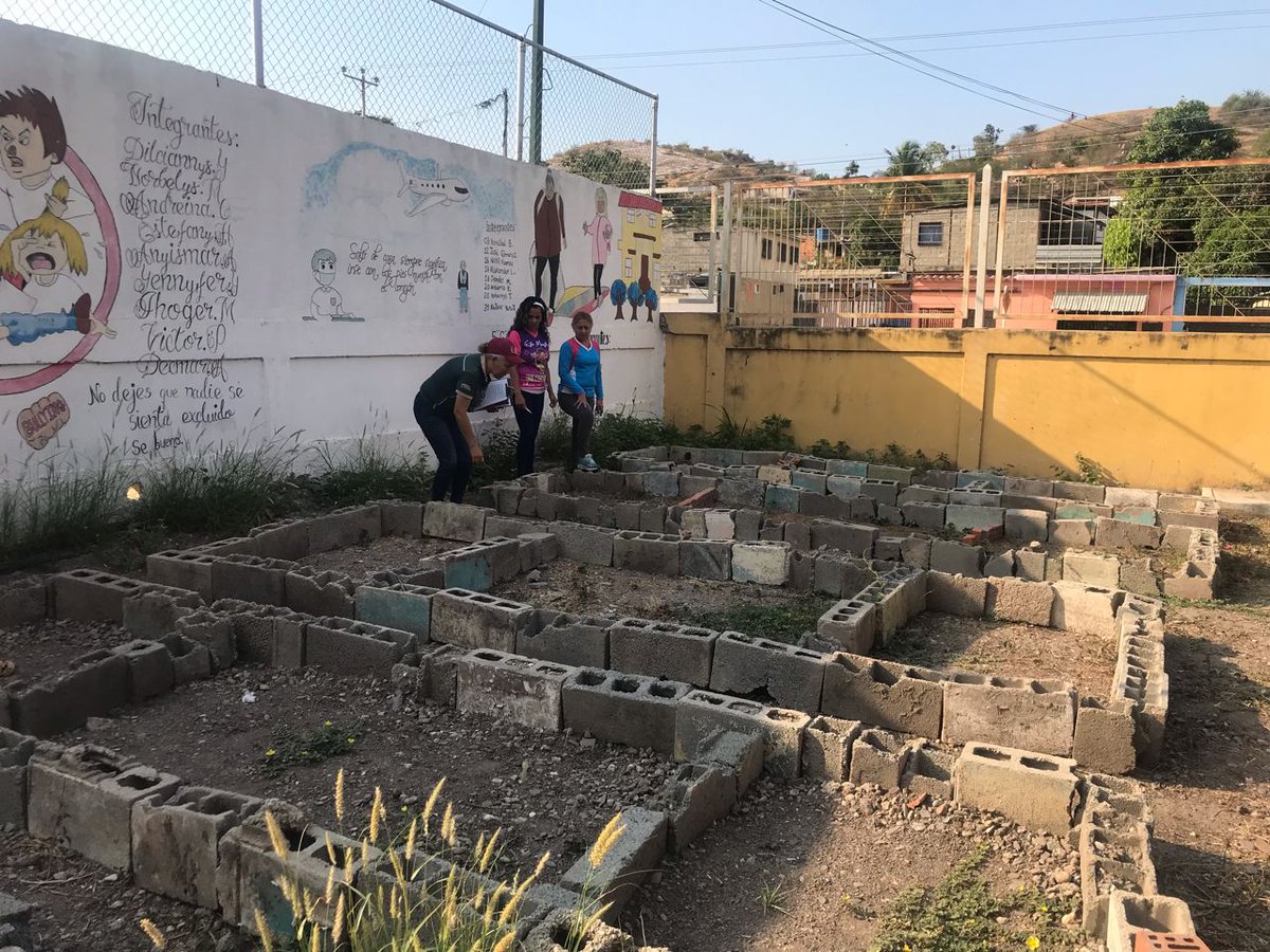 #18Abr UEN Juan José Guerrero Barquisimeto #AnaSoto #Iribarren,   cuenta con canteros para la producción en el huerto.
Un cantero fue sembrado con cilantro. 
Se requiere de sustrato para mejorar el suelo de los canteros

#TúTambiénPuedesProducir