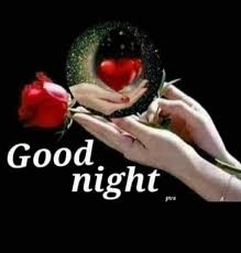 Good Night ♥️🌺🌹
                         Everyone ⚘♥️🌺
X Family!!!!!💞🌻🌼
