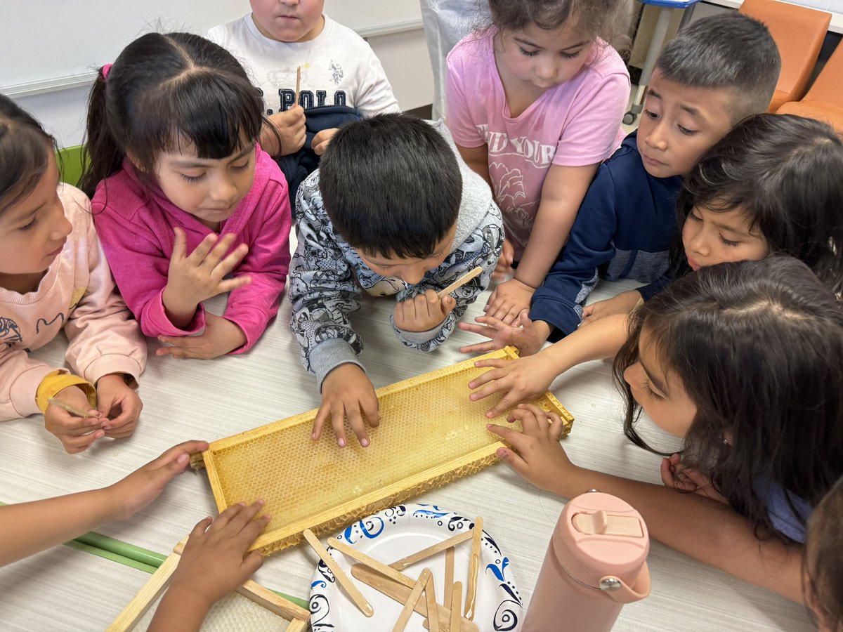Did you know?  Our very own Mrs. Sitrick is a beekeeper in the summer!  Kindergarten had the pleasure of learning all about beekeeping 🐝 today 🥰Thank you Mrs. Sitrick!