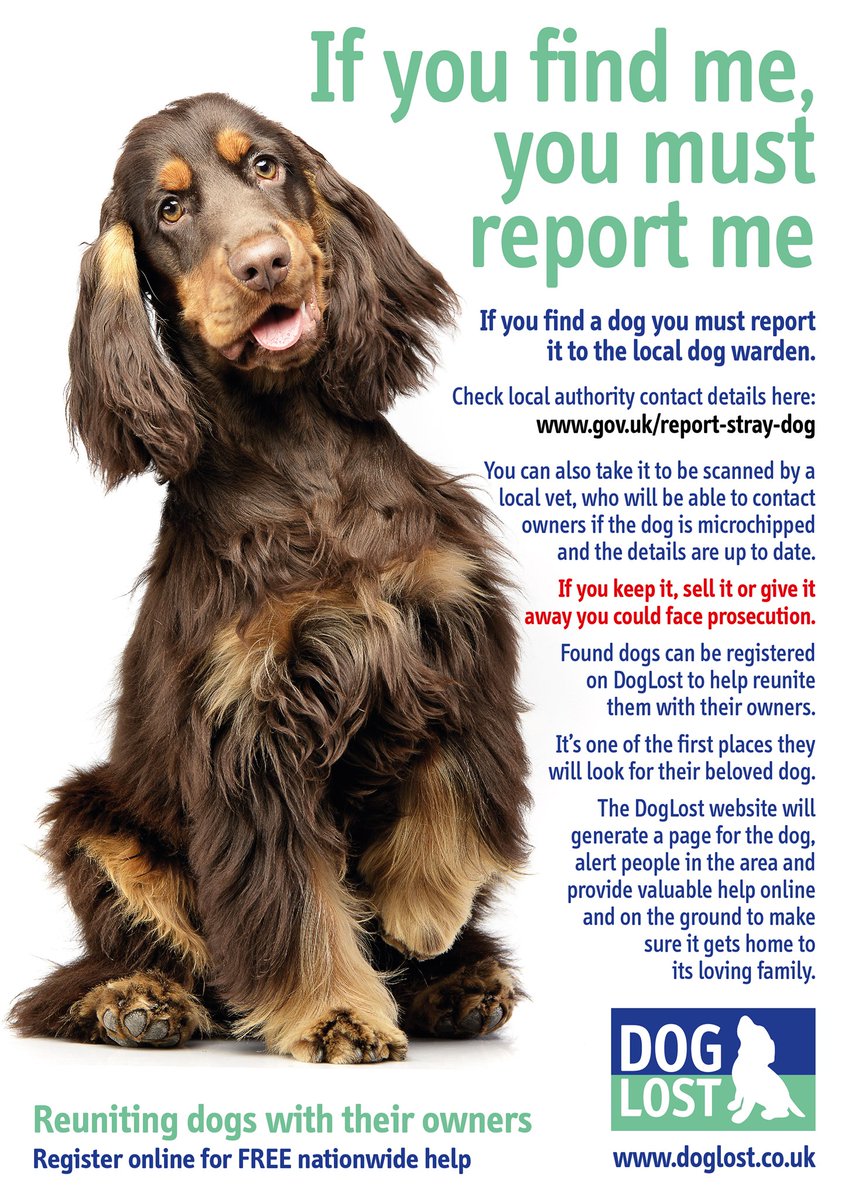 'If you find me, you must report me'    

#LostDog #MissingDog #FoundDog #ScanMe