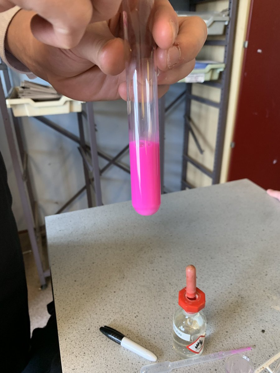 Today, our Year 12 Biologists were investigating the importance of bile salts on the digestion of lipids. #stem