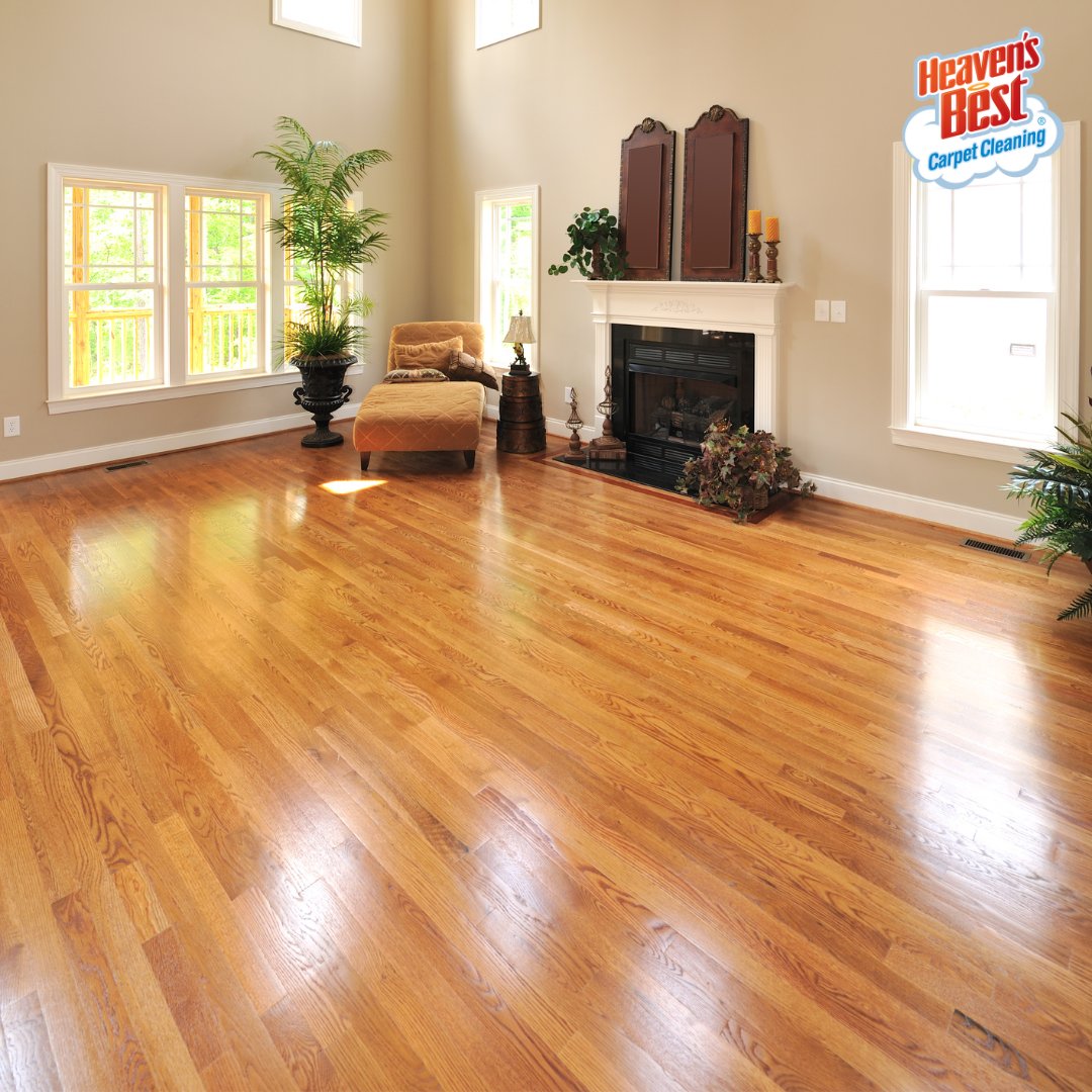 Our expert techniques will bring out the natural luster and extend the life of your wood floors. 🌿✨ Call Heaven's Best to schedule your hardwood floor cleaning today! (623) 975-4844

nwvalley.heavensbest.com
#heavensbest #phoenix #bestofphoenix #nwvalley