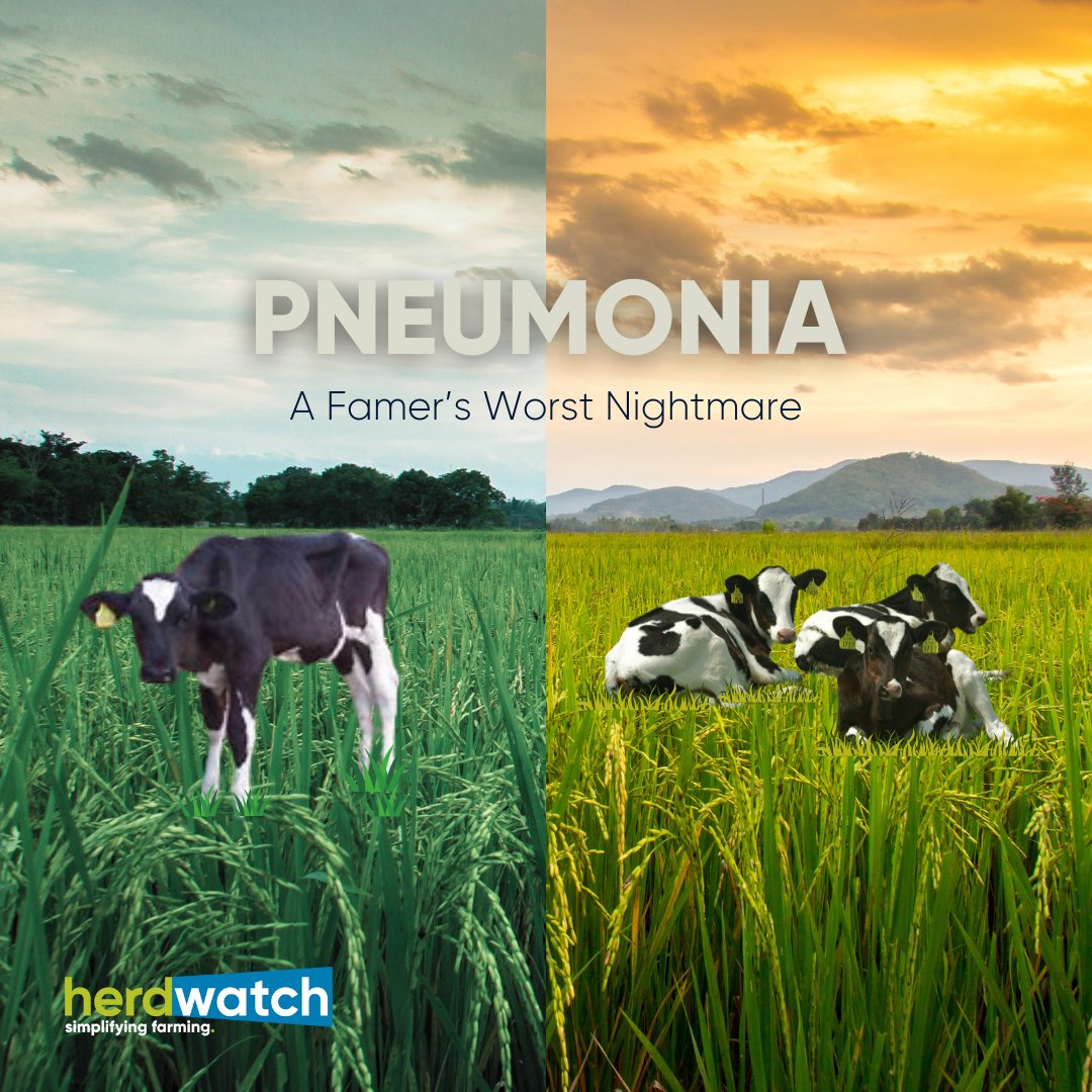 Don't be fooled by the weather! The mild climate and shift in temperatures brings its own set of challenges. Read more on the signs of pneumonia in livestock and the methods to prevent and treat your herd/ flock! ⬇️⬇️⬇️ hubs.li/Q02tLCyv0 #herdwatch #pneumonia #farm