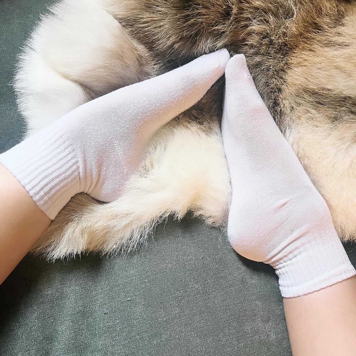 AdoraValencia's tweet photo. Do you want me to take them off? 

#feet https://t.co/2zDC1fuE4d