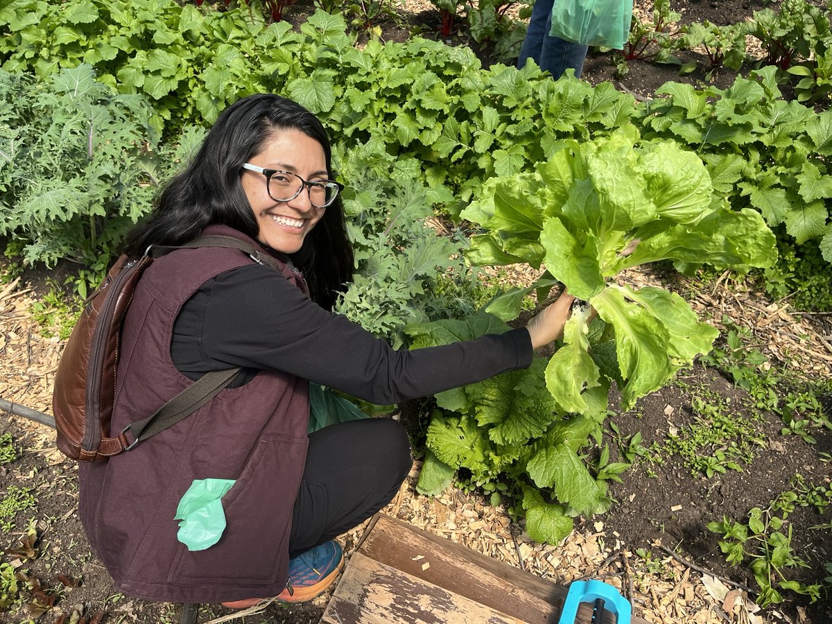 We had such a wonderful time visiting Chicken of the Woods Permaculture Farm yesterday! As the 2nd Farm tour in our series supported by The Wallace Center's Food Systems Leadership Network, we learned many cool techniques for sustainable and regenerative farming.