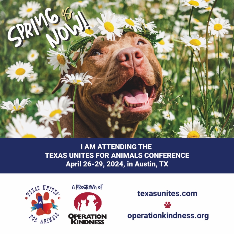 Michelson Found Animals is a proud sponsor of this year's Texas Unites for Animals Conference. MFA's National Shelter Engagement Director, Gina Knepp, will be presenting, and the Pet-Inclusive Housing Initiative team will be in attendance exhibiting. texasunites.com