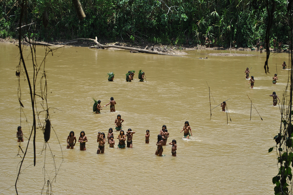 🇵🇪 #MadreDeDios 𝗖𝗼𝗻𝗰𝗲𝘀𝗶𝗼𝗻𝗲𝘀 𝗳𝘂𝗲𝗿𝘇𝗮𝗻 𝗮𝘃𝗶𝘀𝘁𝗮𝗺𝗶𝗲𝗻𝘁𝗼 𝗱𝗲 𝗮𝗶𝘀𝗹𝗮𝗱𝗼𝘀 → acortar.link/IcDdWf
La presencia de concesiones forestales en los límites de la Reserva Territorial Madre de Dios estaría forzando la salida de indígenas mashco piro ...