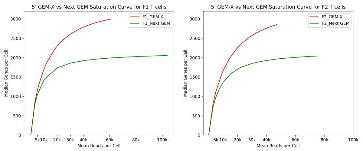Fred Hutch Innovation Lab (@hutchinnovation) on Twitter photo <a href="/10xGenomics/">10x Genomics</a> released new single cell GEM-X assays in March, and we were quick to try it out. FHIL benchmarked 5’ GEM-X against 5’ Next GEM v2 chemistry with sorted T-cells from healthy donor PBMCs and targeted the recommended max for each assay, 20k and 10k respectively.(1/8) <a href="/10xGenomics/">10x Genomics</a> released new single cell GEM-X assays in March, and we were quick to try it out. FHIL benchmarked 5’ GEM-X against 5’ Next GEM v2 chemistry with sorted T-cells from healthy donor PBMCs and targeted the recommended max for each assay, 20k and 10k respectively.(1/8)