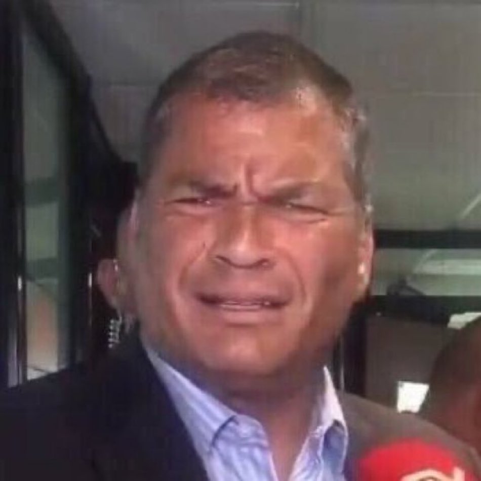 lepantox's tweet photo. ¿Pólit? Cuál Pólit https://t.co/YRO9xI8bE6
