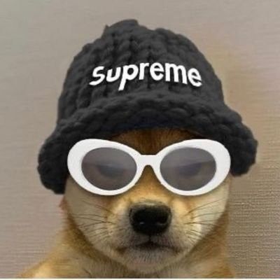 dogwifhat tweet media