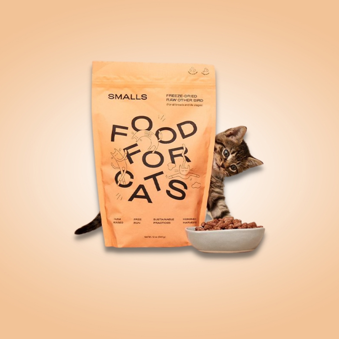 creativeboxesco's tweet photo. Custom Cat Food Boxes
Select your desired boxes or packaging materials from our wide range of +29. For more details click on this link: https://t.co/zfLBjiaSjw
☎️ Call Us For Free Consultation at +44 20 3399 9331
Email Us: Info@creativeboxes.co.uk
#CustomCatFoodBoxes #CatFoodBox https://t.co/IYnWrqbXO0