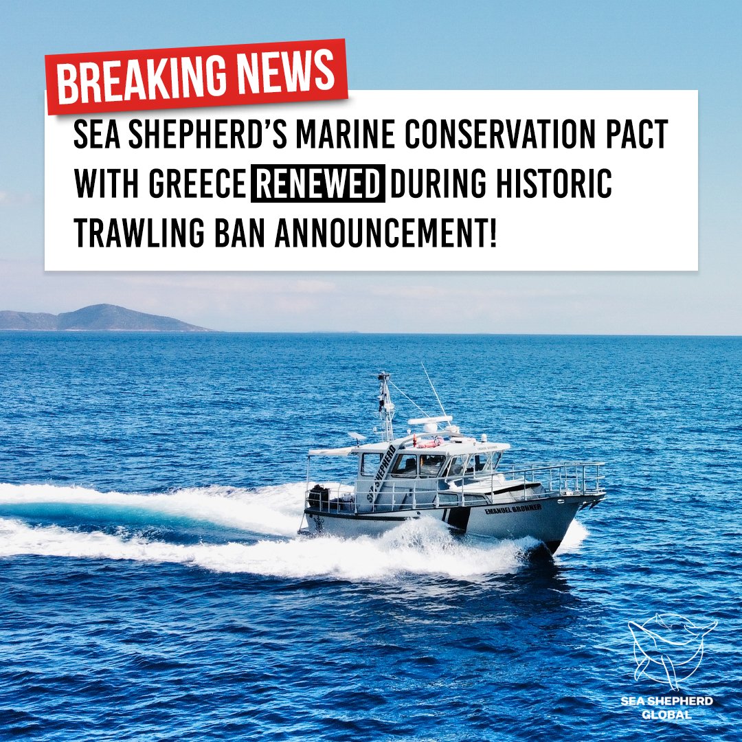 📢 We've just renewed our partnership with Greece’s N.E.C.C.A. to protect the largest marine protected area in the #Med❗But wait, there's more! #Greece is making waves by banning bottom trawling in national parks by 2026. Find out more here: seashe.ph/SeaShepherdRen…