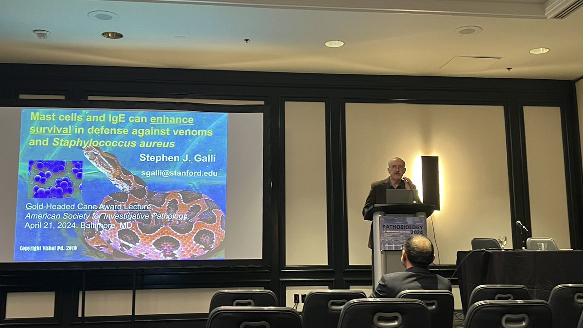 Did someone say mast cells?

Got to reconnect with @behindourscienc cohost @EyeDaisyShu & learn how beneficial mast cells are to combate venom from Dr Stephen Galli, 2024 Gold Headed Cane Awardee!

Did you know mast cells secrete enzymes that degrade venom? You do now!

#ASIP2024