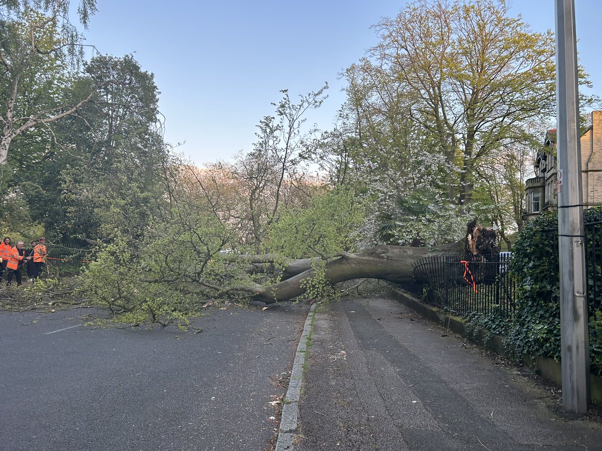 I am live on Livingstone Drive South in Aigburth where an enormous tree has fallen into the road. 

@LivEchonews