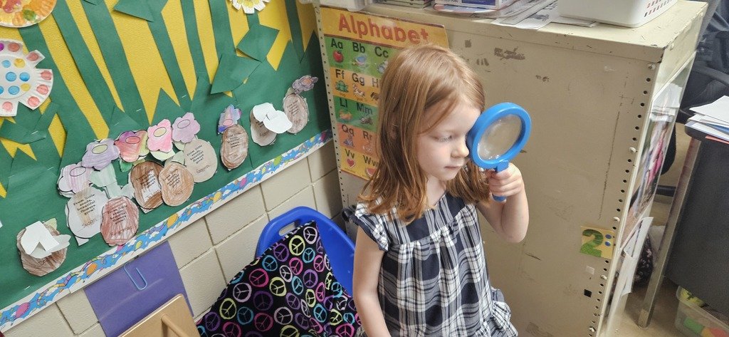 bryantpreK's tweet photo. Mrs. Wyatt's class  enjoyed going on a quest for letters! #ReadySetLearnBPK https://t.co/wI6N3q5yTD