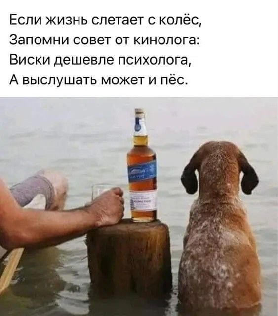 Пьяный Твиттер (@drunktwi) on Twitter photo 2024-04-24 08:40:00